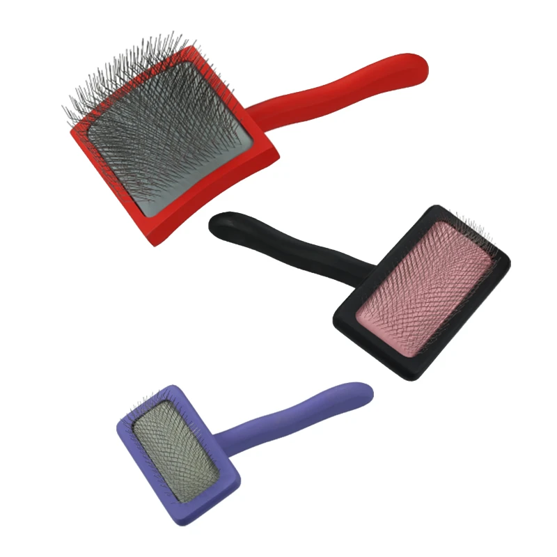 Brosse color&eacute;e pour spa et bain de massage pour animaux de compagnie